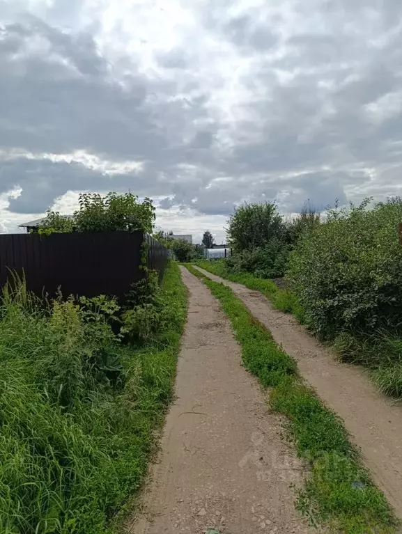 Участок в Татарстан, с. Пестрецы ул. Живописная (12.0 сот.) - Фото 1