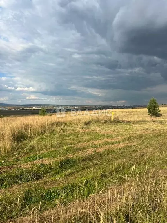 Участок в Татарстан, Нижнекамский район, с. Каенлы ул. Татарстан (8.0 ... - Фото 1