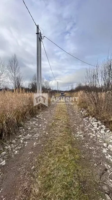 Участок в Ивановская область, Ивановский район, Коляновское с/пос, с. ... - Фото 1
