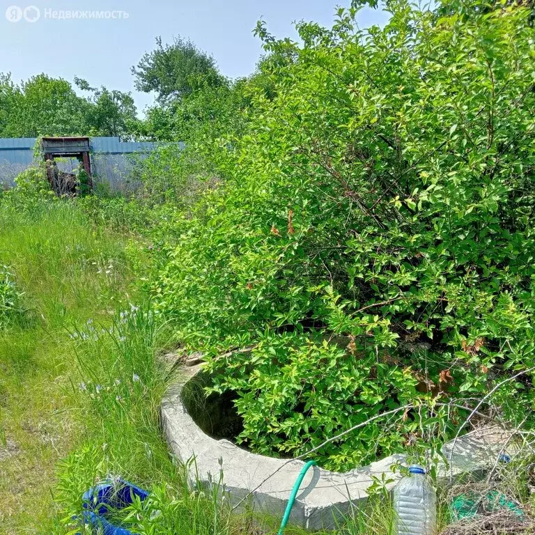 Дом в Воронеж, СНТ Садовод ВАСО, 3-я улица (20 м) - Фото 0