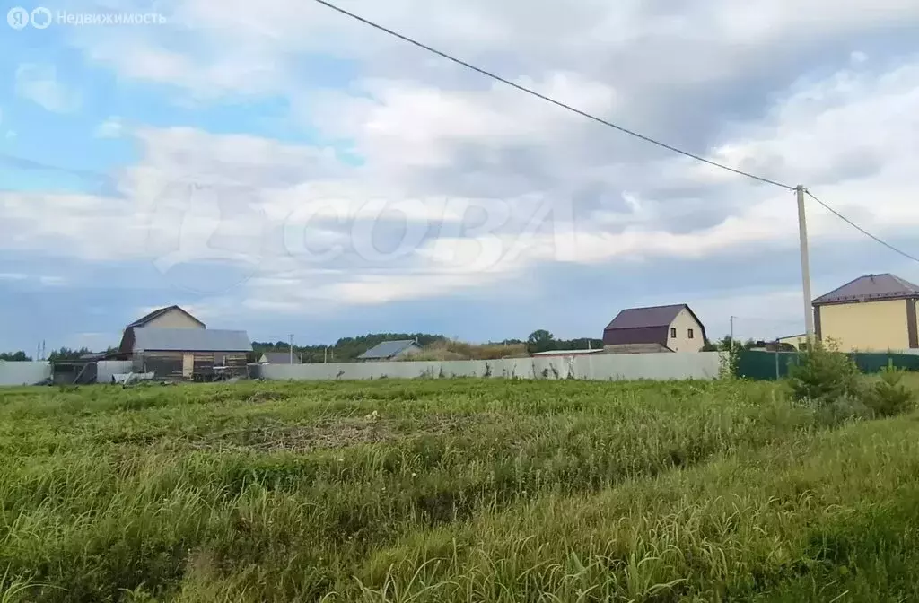 Дом в Тюменский муниципальный округ, село Борки (20 м) - Фото 1