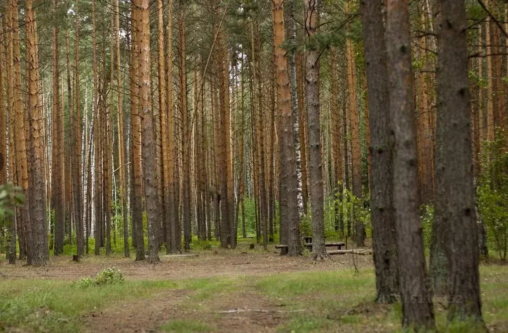 Участок в Владимирская область, Судогодский район, Лавровское ... - Фото 0