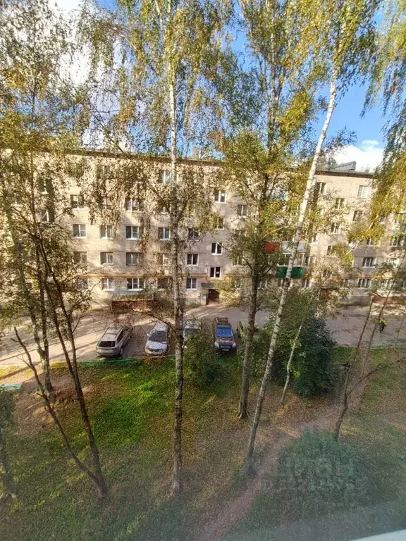 1-к кв. Новгородская область, Старая Русса ул. Александровская, 47 ... - Фото 0