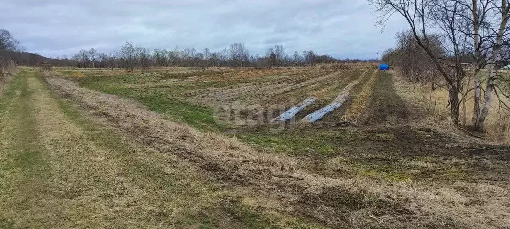 Участок в Сахалинская область, Анивский городской округ, с. Успенское  ... - Фото 0