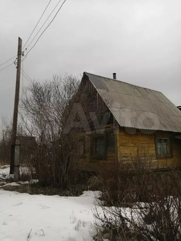 Невьянск дачи. Деревня Невьянка Свердловская область.