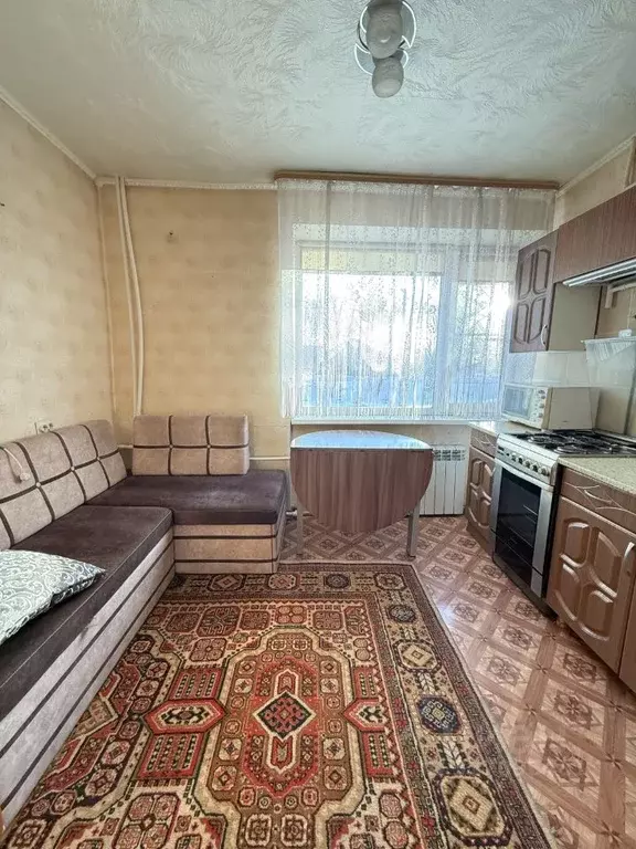 1-к кв. Омская область, Омский район муниципальный округ, пос. ... - Фото 1