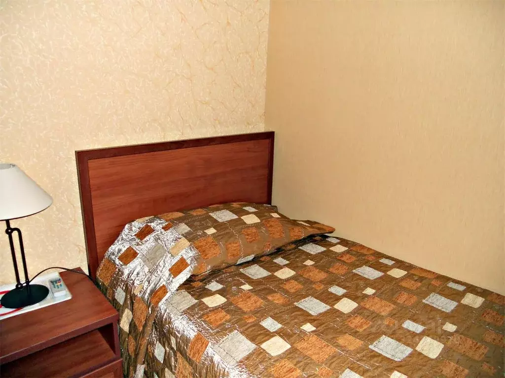 Комната Нижегородская область, Бор ул. Ванеева, 105 (15.0 м) - Фото 1