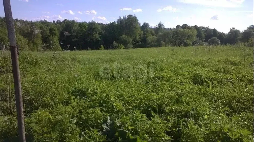 Участок в Калужская область, Жуковский муниципальный округ, Трубино ... - Фото 2