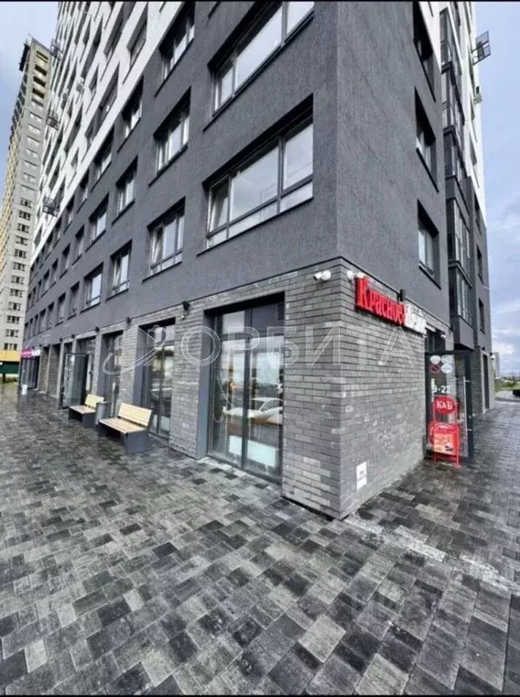 Помещение свободного назначения в Тюменская область, Тюмень ул. ... - Фото 1