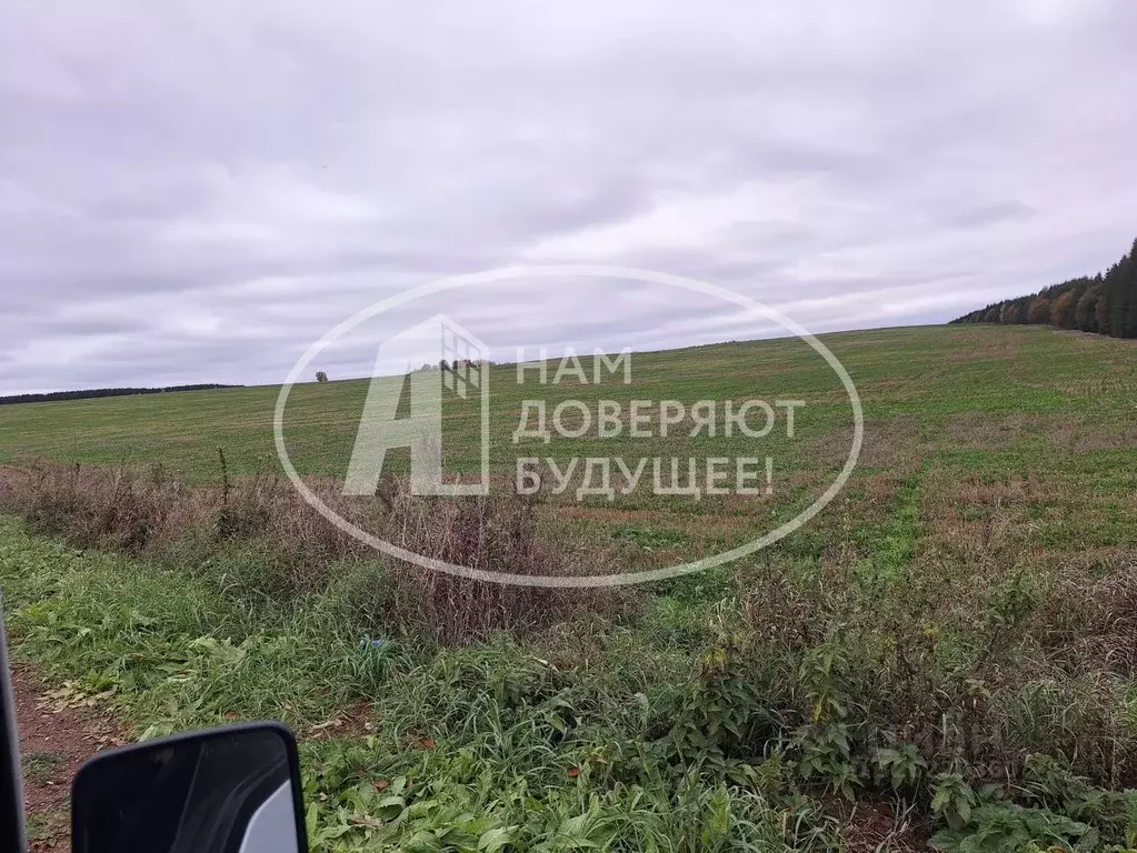 Участок в Пермский край, Кунгурский муниципальный округ, с. Неволино ... - Фото 2