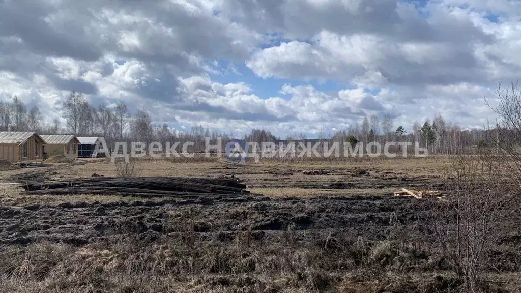 Участок в Тюменская область, Тюмень Царево садовое товарищество, 710 ... - Фото 0