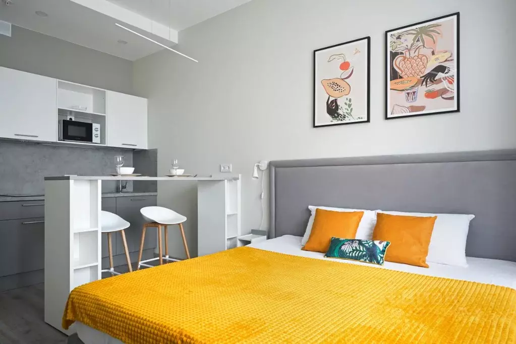 Студия Санкт-Петербург Витебский просп., 99к1 (25.0 м) - Фото 1