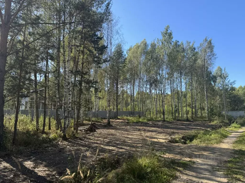 Участок в Московская область, Талдомский городской округ, д. Гусенки ... - Фото 1