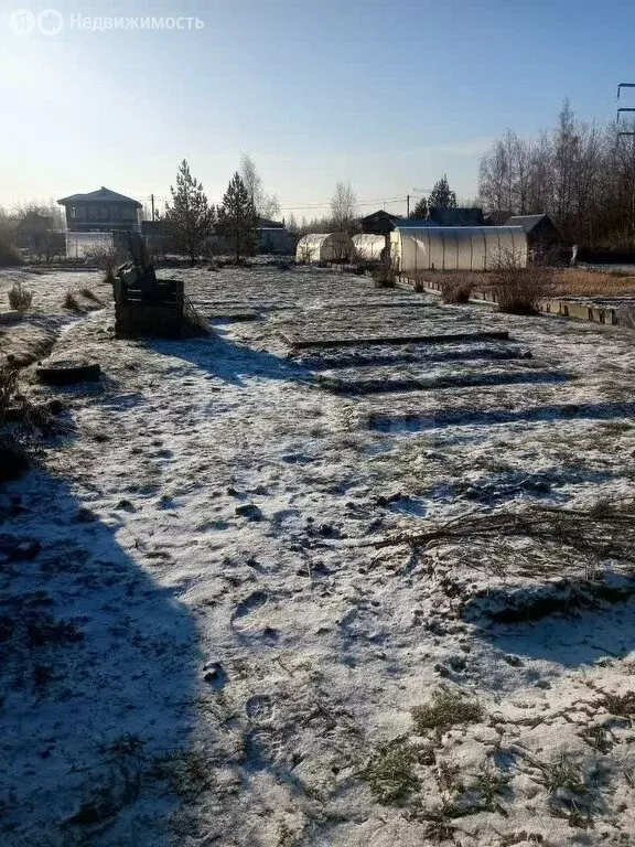Участок в Ярославский муниципальный округ, садоводческое ... - Фото 1