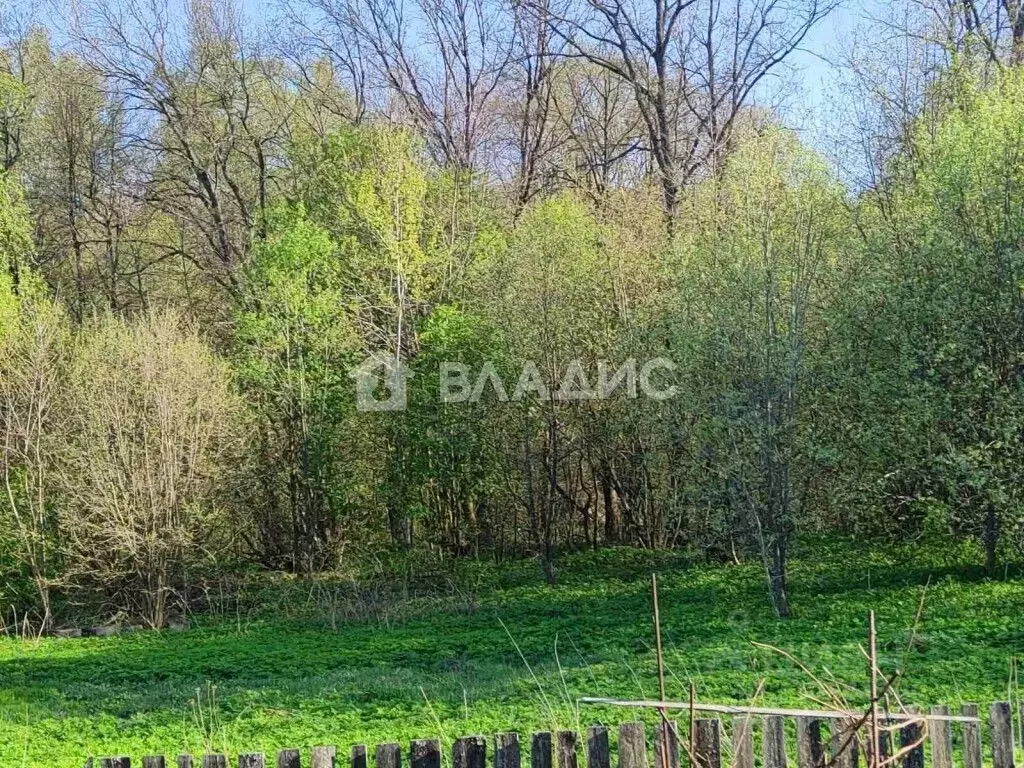 Участок в Владимирская область, Суздальский район, Новоалександровское ... - Фото 1