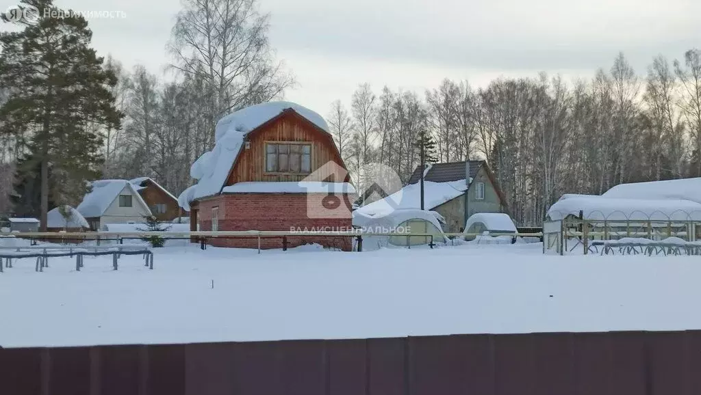 Участок в Новосибирск, СНТ Радист (8 м) - Фото 1