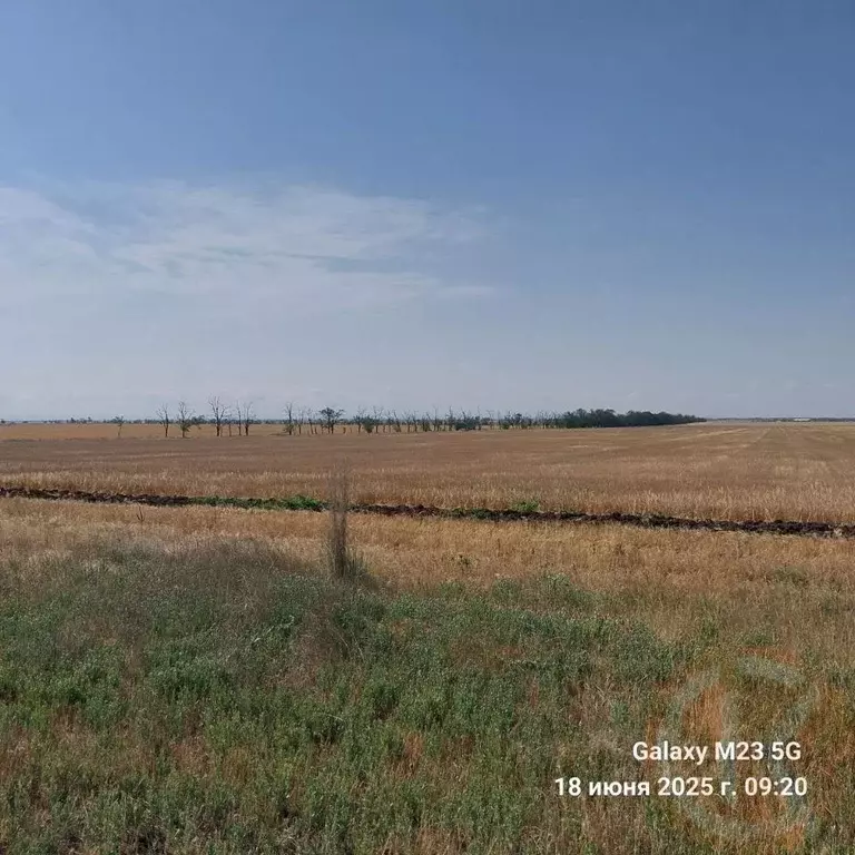 Участок в Крым, Черноморский район, с. Новоивановка  (6.24 сот.) - Фото 1