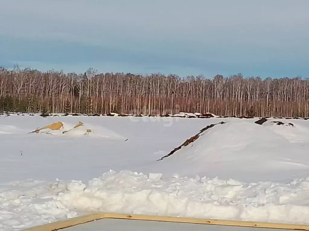 Участок в Челябинская область, Сосновский район, Кременкульское с/пос, ... - Фото 0