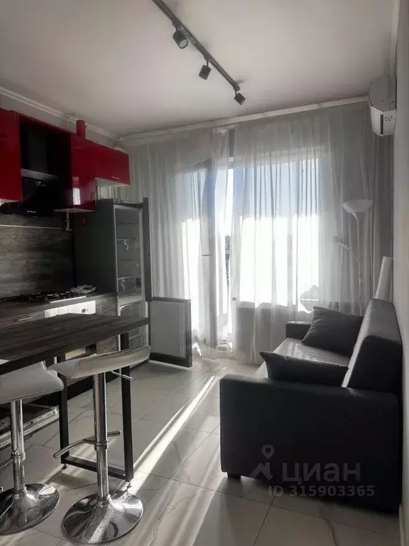 1-к кв. Московская область, Истра муниципальный округ, д. Красный ... - Фото 1