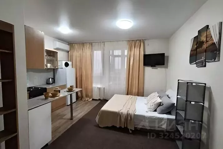 1-к кв. Краснодарский край, Анапа ул. Ивана Голубца, 147 (30.0 м) - Фото 1