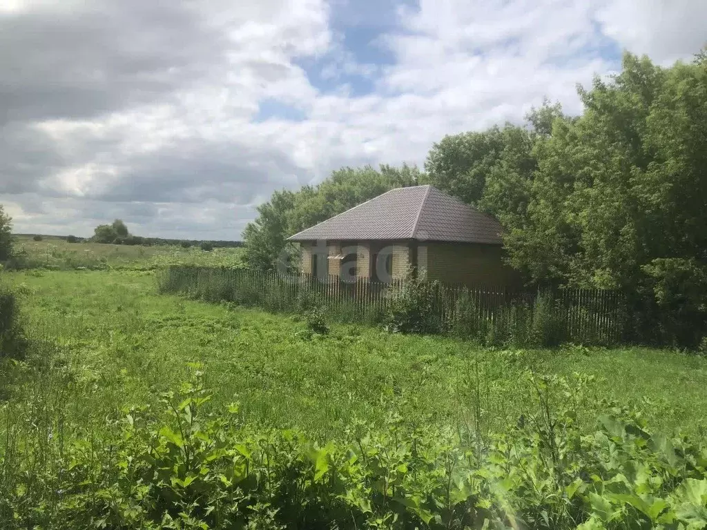 Дом в Татарстан, Лаишевский район, Никольское с/пос, с. Никольское ул. ... - Фото 1