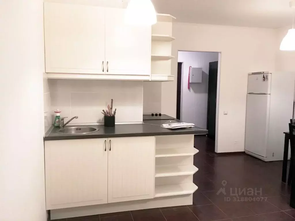 Студия Санкт-Петербург Пулковское ш., 36к4 (29.0 м) - Фото 0