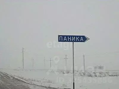 Участок в Оренбургская область, Оренбургский район, Пугачевский ... - Фото 1