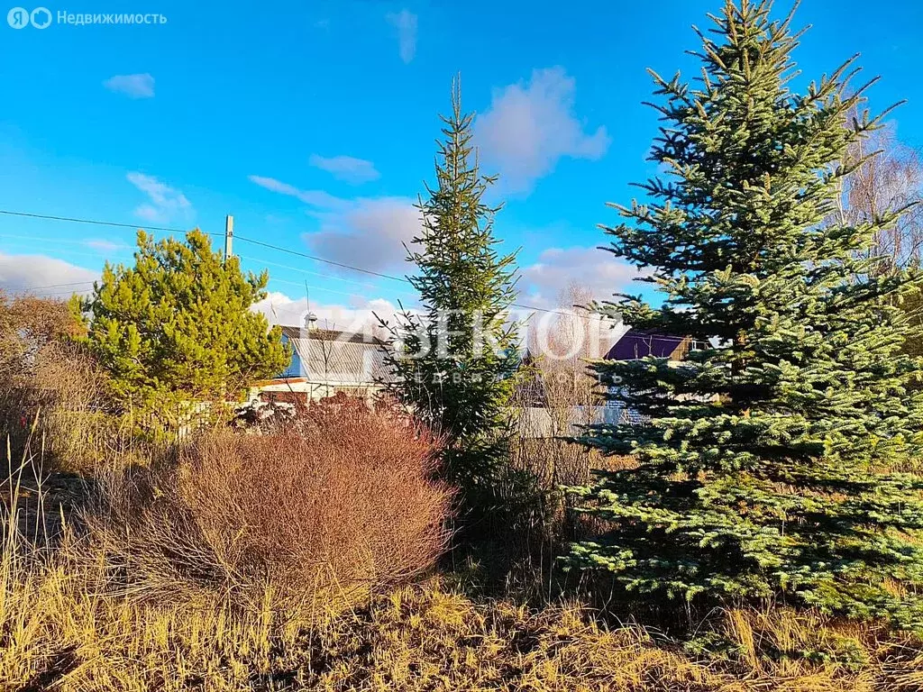 Участок в Костромской район, Бакшеевское сельское поселение, СНТ ... - Фото 1