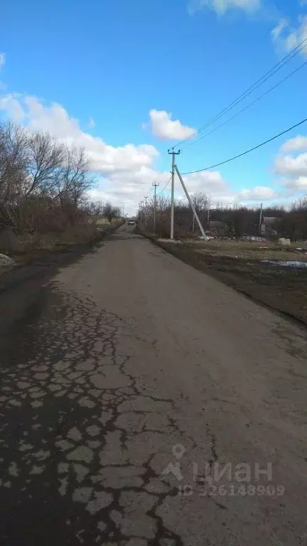 Участок в Белгородская область, Строитель Яковлевский городской округ, ... - Фото 2