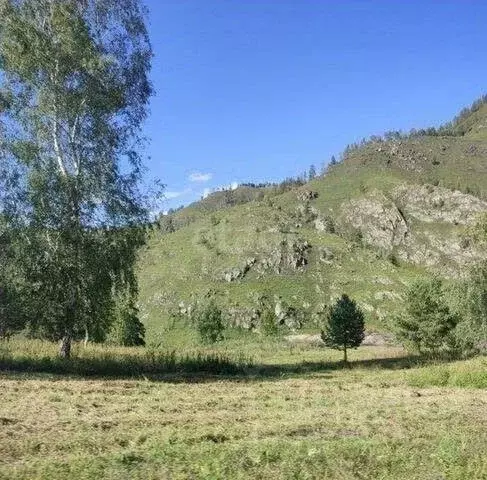 Участок в Алтай, Чемальский район, с. Бешпельтир  (840.0 сот.) - Фото 1