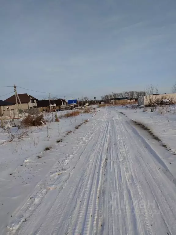 Участок в Алтайский край, Барнаул городской округ, пос. Бельмесево ул. ... - Фото 1