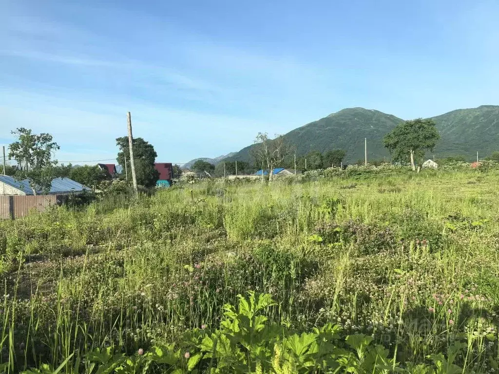 Участок в Камчатский край, Елизовский муниципальный округ, пос. ... - Фото 2