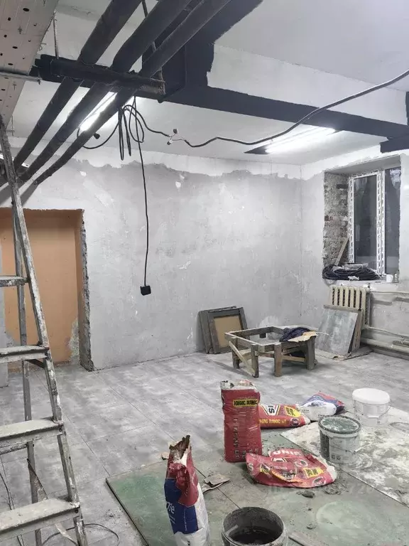 Помещение свободного назначения в Москва Тихвинский пер., 10-12к9 (87 ... - Фото 2