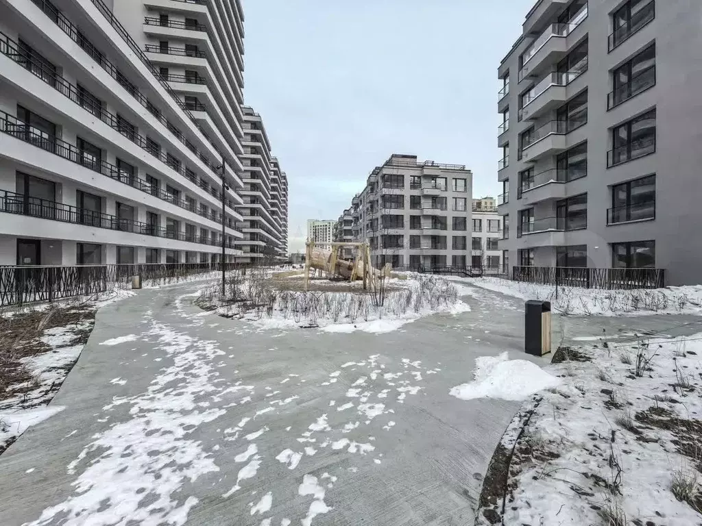 Сдам помещение свободного назначения, 67.09 м - Фото 0