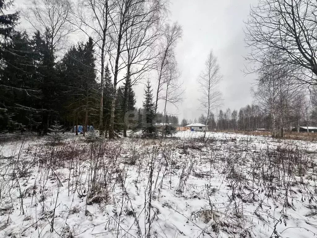 Участок в Московская область, городской округ Ступино, КП Грин форест ... - Фото 1