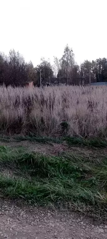 Участок в Калужская область, Боровский муниципальный округ, Кривское ... - Фото 1