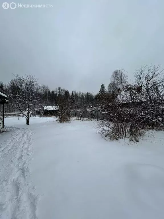 Участок в Медведевский район, Куярское сельское поселение, СНТ Салют ... - Фото 2