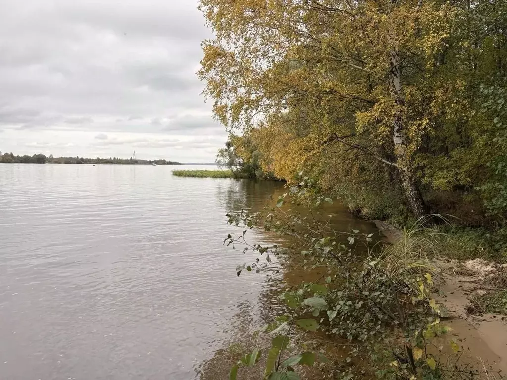 Участок в Тверская область, Кимрский муниципальный округ, д. Кадниково ... - Фото 2