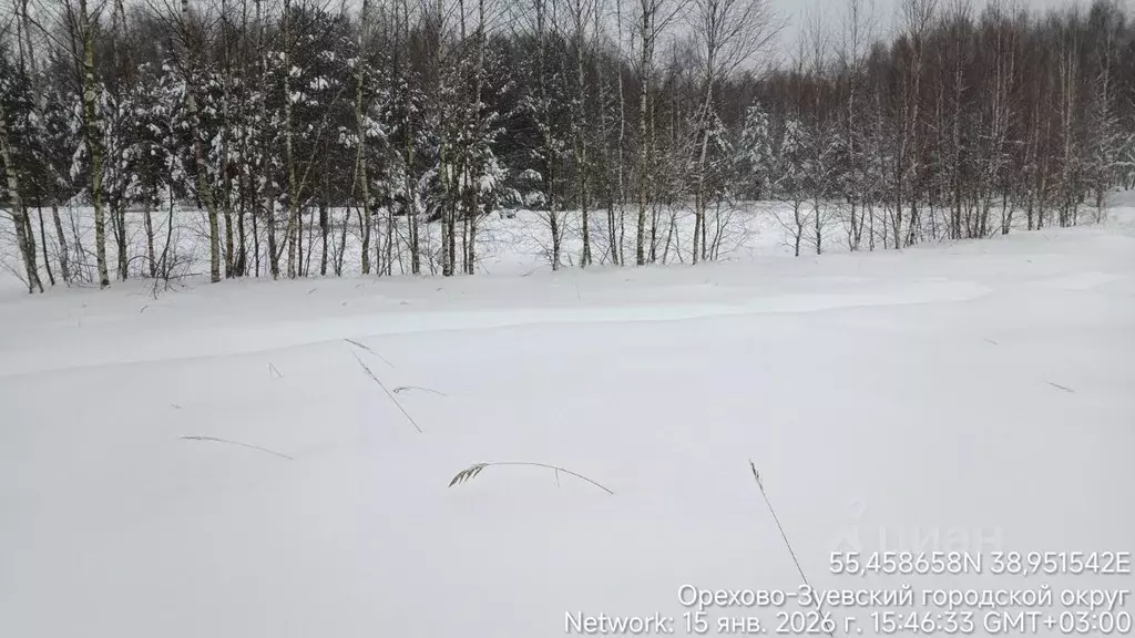 Участок в Московская область, Орехово-Зуевский городской округ, д. ... - Фото 1