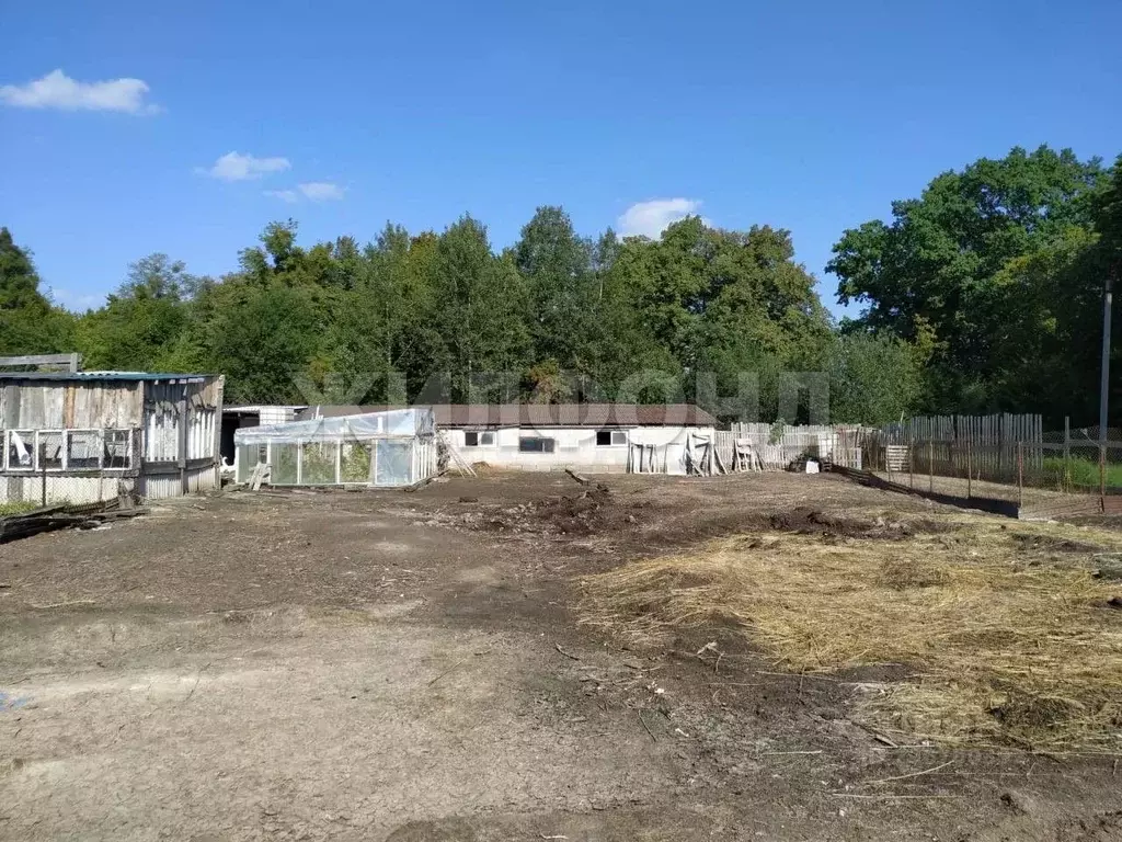 Участок в Калининградская область, Багратионовский муниципальный ... - Фото 2