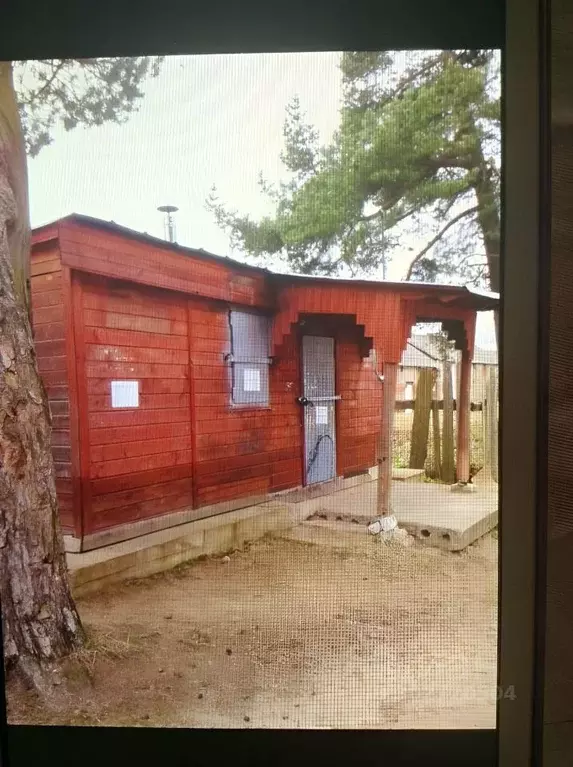 Торговая площадь в Тверская область, Максатиха пгт ул. Заводская, 7Б ... - Фото 1