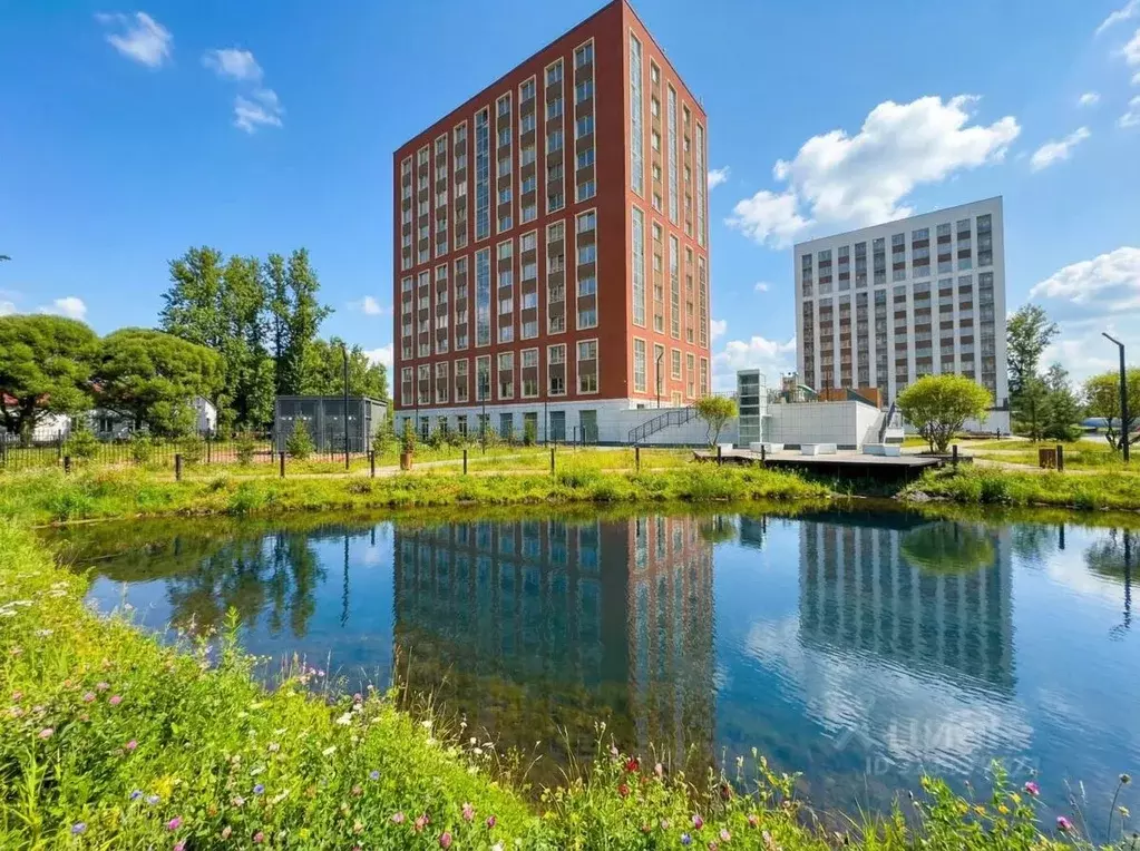 1-к кв. Санкт-Петербург Пискаревский просп., 142к1 (35.0 м) - Фото 1