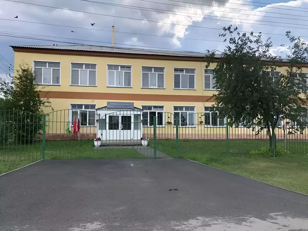 Участок в Новосибирская область, Новосибирский район, Толмачевский ... - Фото 2