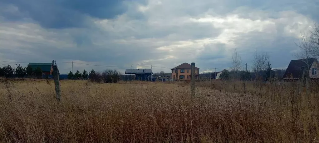 Участок в Московская область, Луховицы муниципальный округ, пос. ... - Фото 2