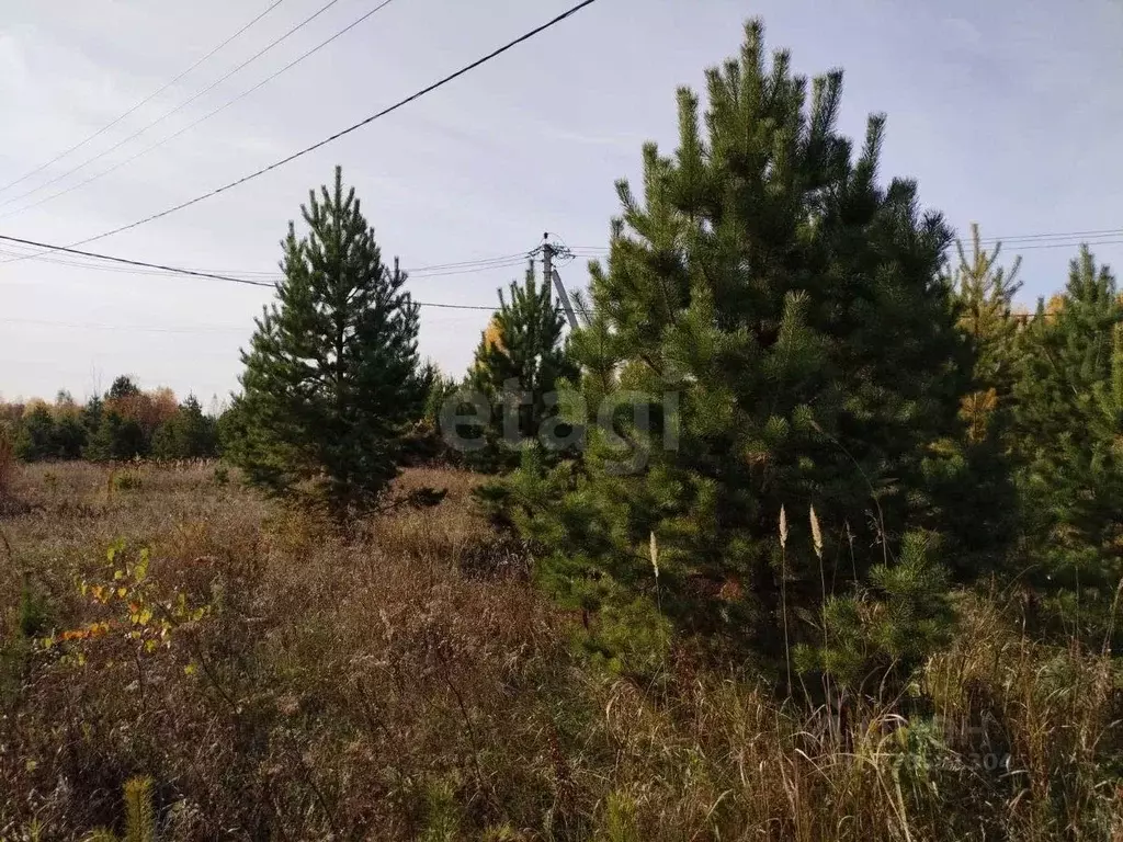 Участок в Тюменская область, Нижнетавдинский муниципальный округ, д. ... - Фото 1