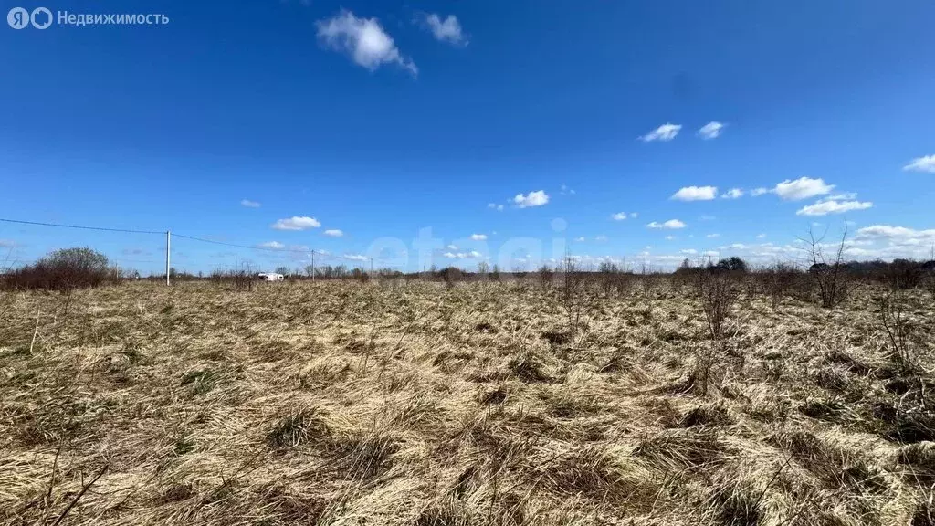Участок в Калининградская область, Гурьевский муниципальный округ, ... - Фото 2