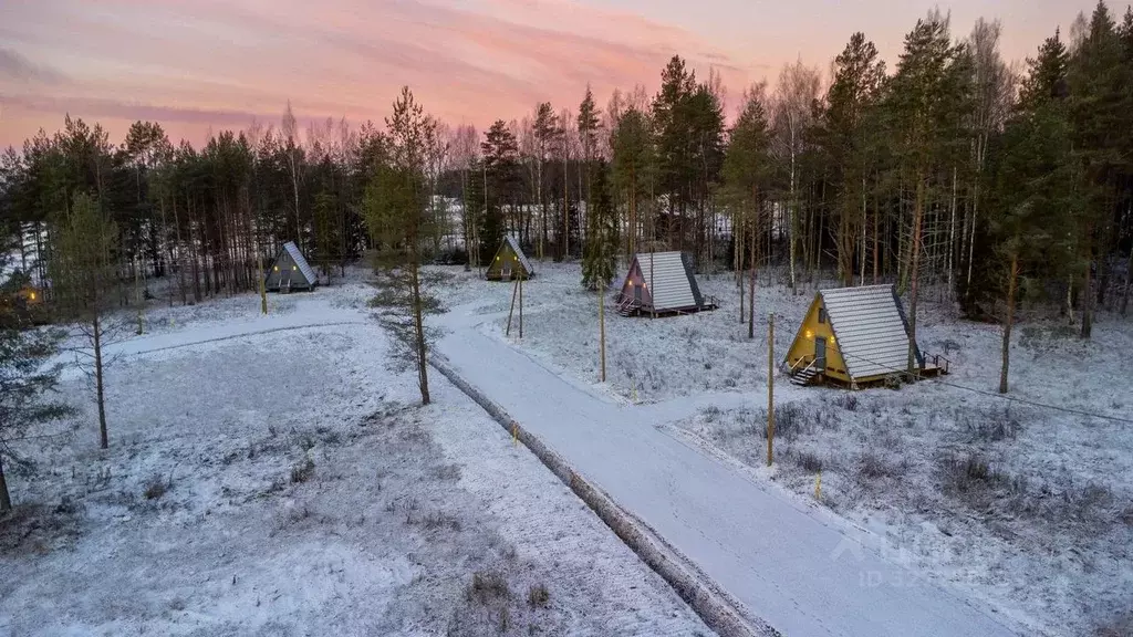 Участок в Ленинградская область, Приозерский район, Красноозерное ... - Фото 1