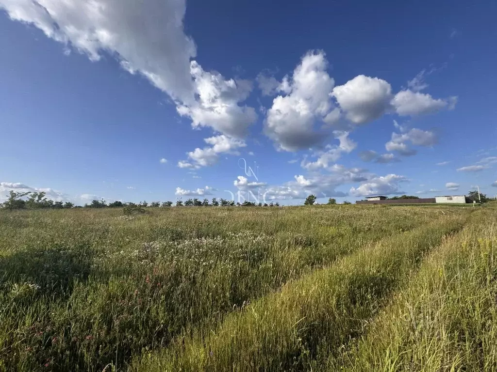 Участок в Белгородская область, Белгородский район, Беломестненское ... - Фото 1
