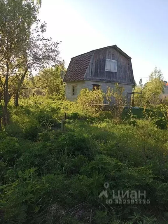Дом в Брянская область, Брянский район, Чернетовское с/пос, ... - Фото 1