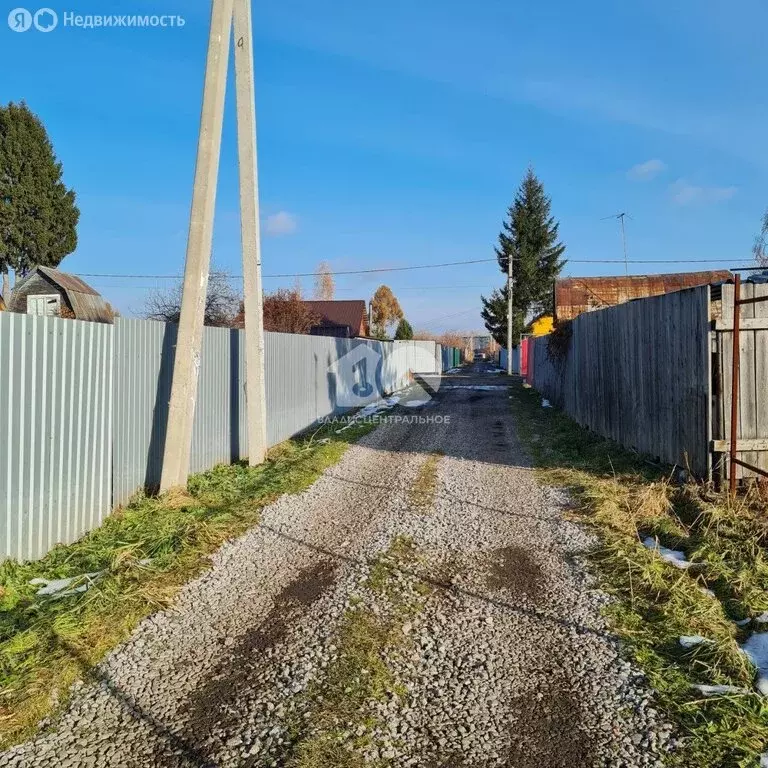 Участок в Новосибирск, СТ Сибиряк Пашинский, 217 (6.58 м) - Фото 1